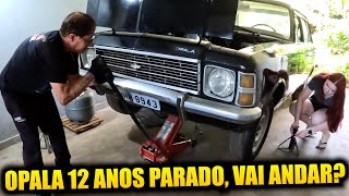 Download Lagu OPALA 12 ANOS PARADO! VAI ANDAR??? MP3 Download Lagu OPALA 12 ANOS PARADO! VAI ANDAR??? MP3