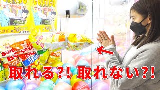 国内最大級のクレーンゲーム屋さんでガチ対決！！