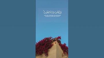 ((ومن يتق الله يجعل له مخرجا ))تلاوة بدر التركي