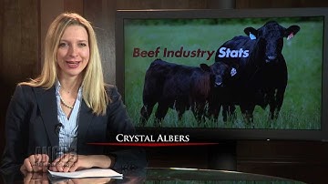 The Angus Report, Nov. 12, 2012: Top News