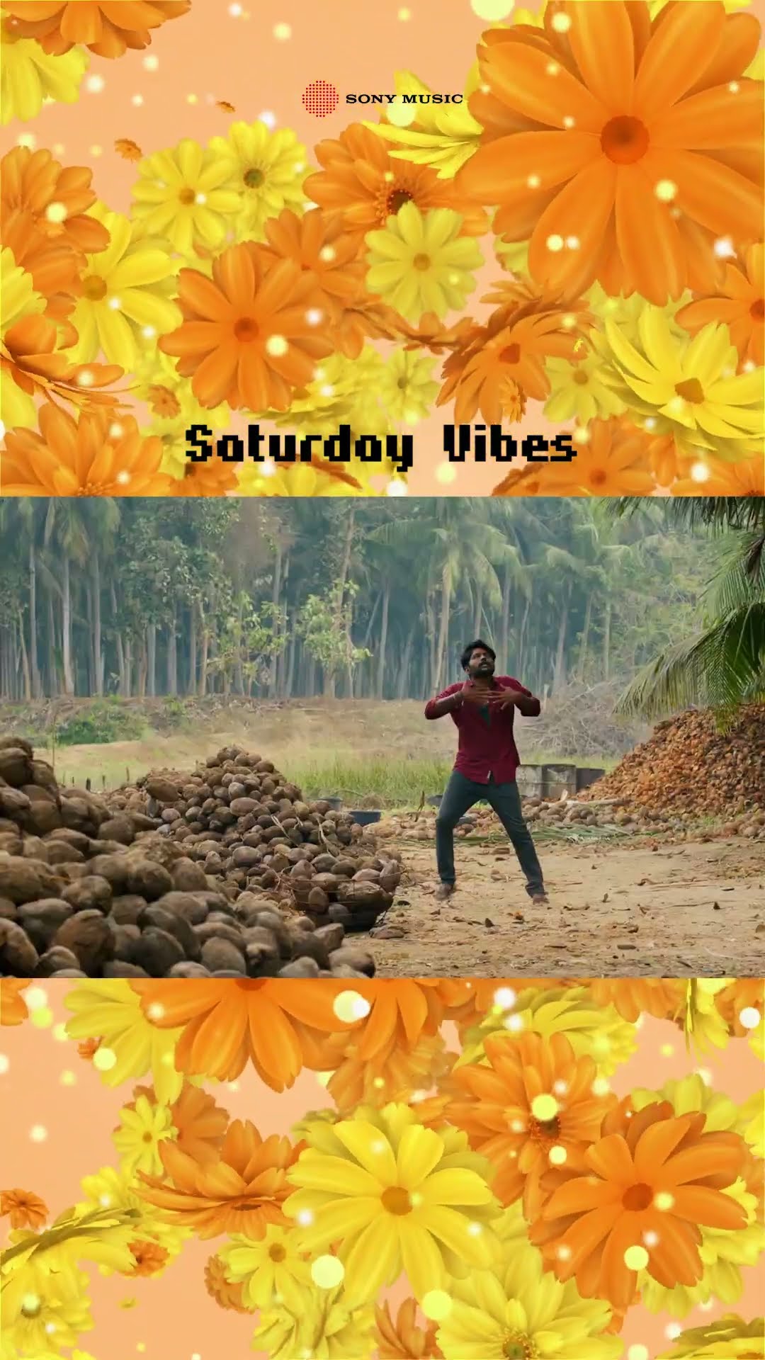 Saturday Vibes