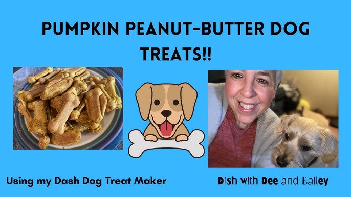 MY THOUGHTS ON THE DASH DOG TREAT MAKER. Did my taste tester like them?  Take a look and see! 