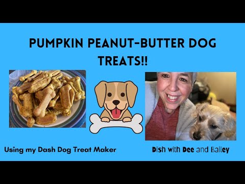 Dash, Other, Dash Mini Dog Treat Maker Electric 6 Treats Recipe Guide  Included New