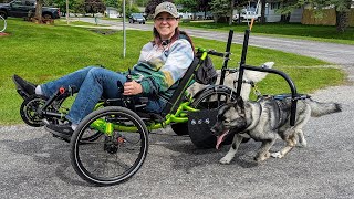 Taking the Husky Puppy on a TRIKE Ride For the First Time!