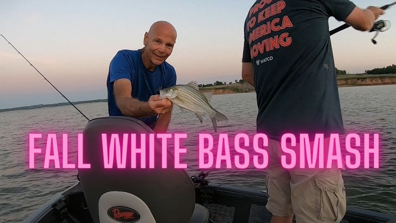 Fall White Bass Smash Kansas Fishing