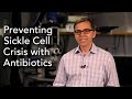 The Role of Antibiotics and Neutrophils in Sickle Cell Disease Management