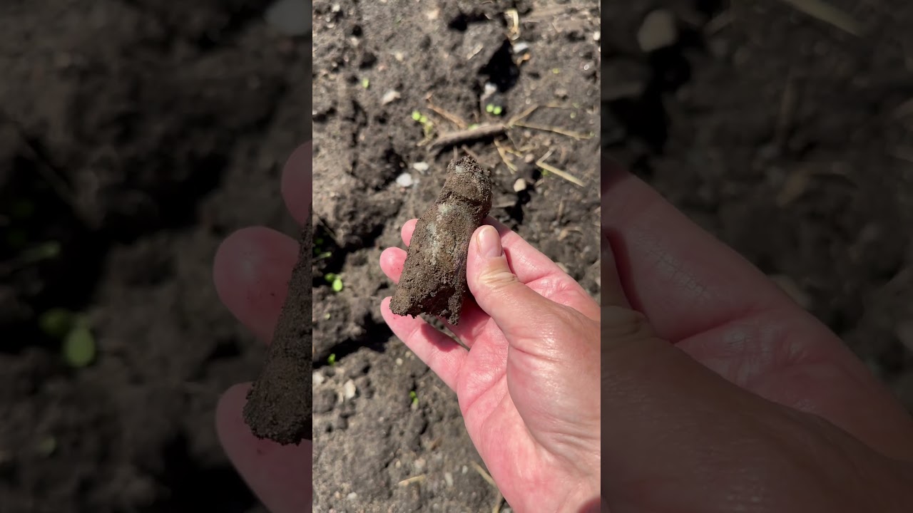 Bottleneck with Beautyfull Iridescens found in Dirt Pile