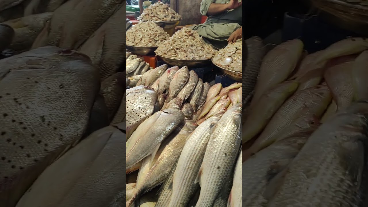 Fish Market Karachi 