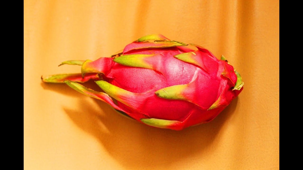 Dragon fruit health benefit YouTube