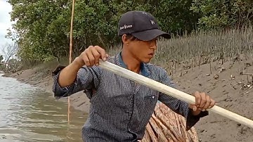 cấm câu cá ngát trúng mánh cả đàn.và cái kết.....