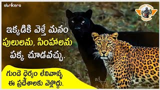 Top 10 National Parks of india || Wild life safari || Tiger attacks || Telugu travel vlogs