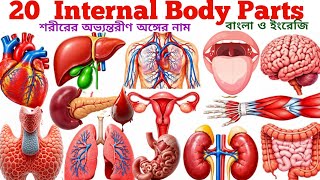 Internal Body Parts Name For Kids 🧠🩸| Learn 20 Human Internal Body Parts Name In English & Bengali |