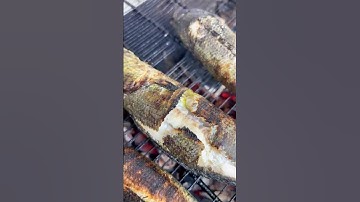 buổi chiều lai rai với món cá lóc nướng thơm ngon các chiến hữu ơi