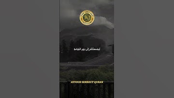 سورة الأنعام الآية 12 تلاوة خاشعة