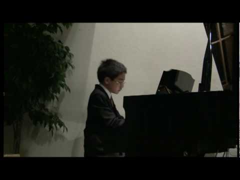 Rhapsody in B Minor [J. Brahms] :: Andrew Wang