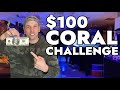 What $100 Will Buy You At A Coral Frag Swap These Days - Coral Haul