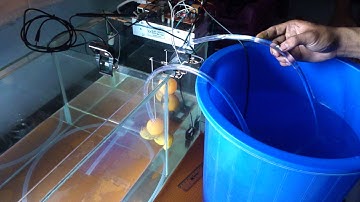 Membuat Alat Monitoring Tambak Gurami Menggunakan Raspberry Pi dan Notifikasi Lewat Aplikasi LINE