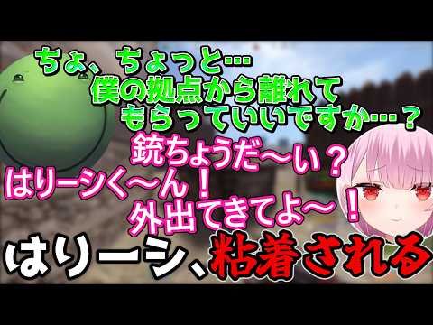 【イチャイチャ】はりーし、みけねこに粘着される【結婚】