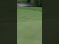 Juliaaaaaaa ace! 🚨 She knocked in this ace early on thursday at the Meijer LPGA Classic