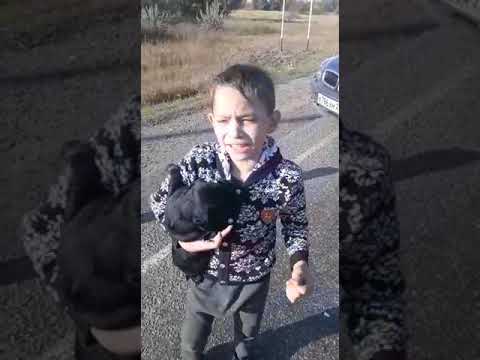 Дети угнали  bmw и попали в дтп. В Рубцовске Алтайского края