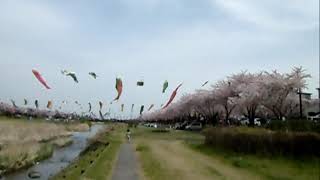『折鶴』千葉紘子