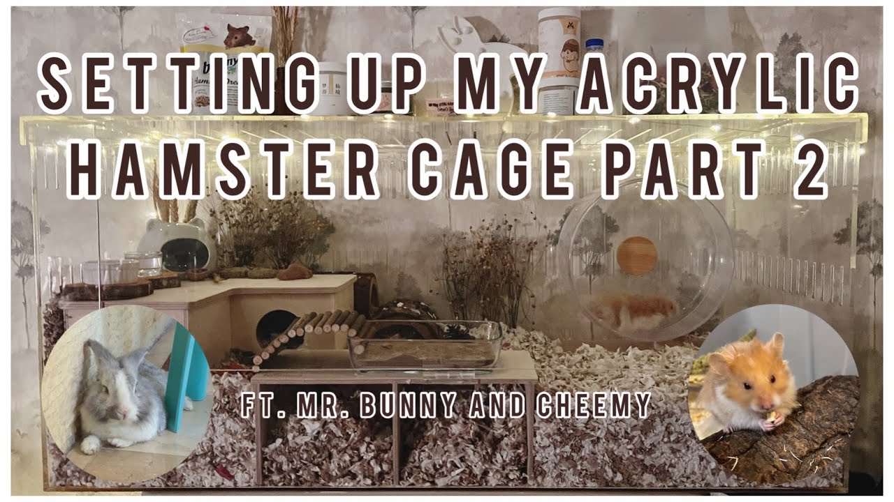 Setting Up And Decorating My Acrylic Hamster Cage || ASMR || Bunny and Hamster Name Reveal - Part 2