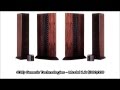 Worlds 20 Most Expensive Speakers Over $100,000