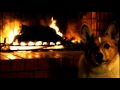 Corgi Christmas Holiday Yule Log with Crackling Fire - 5 Hours