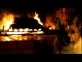 Corgi Christmas Holiday Yule Log  with Crackling Fire - 5 Hours