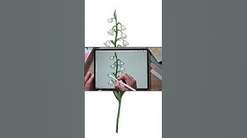 Procreate tutorial - watercolour birth flower illustration using the Birth Month Flower Brush Set 🌸