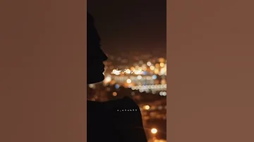 لا ليل بردو الجمال ليه اصول Tamer Hosny تامر حسني حالات Music Singer تامر Status 