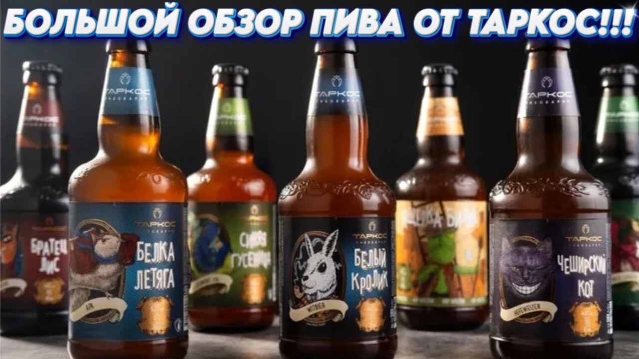 Большой обзор ПИВА от ТАРКОС /Какой сорт выбрать? #пиво #кб #обзор #таркос