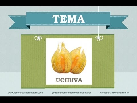 propiedades de las uchuvas para adelgazar