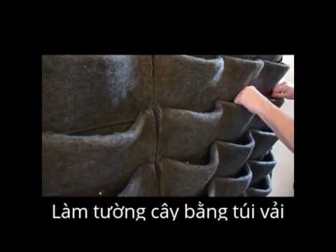 Video Làm tường cây xanh đơn giản - Làm tường cây giả. - youtube