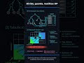 Programación dinámica en 60s: deja de recalcular (Fibonacci + receta)