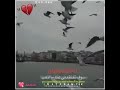 حمامي يا الي في الغصون المشدي
