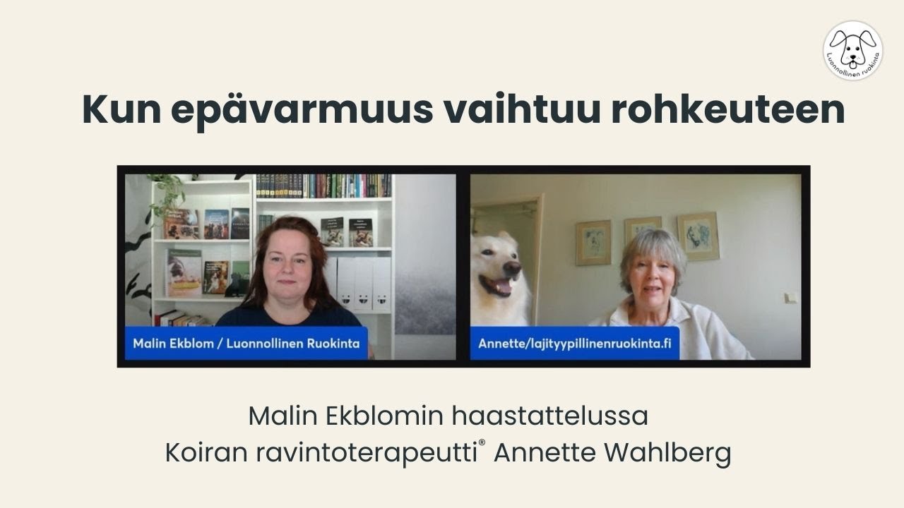 Miten pienestä kokeilusta syntyi uusi suunta ja rohkeus auttaa muita | Annette Wahlberg