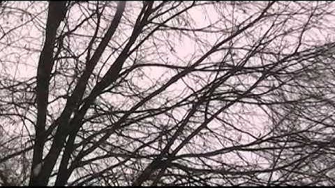 mumford and sons the cave music video