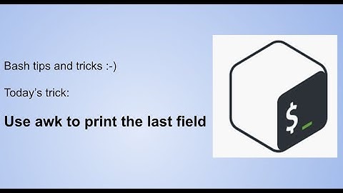 bash scripting - print last field with awk