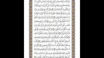 الوجه 135 من القرآن مكرر ١٠ مرات مع الآيات | سورة الأنعام | الشيخ خليفة الطنيجي