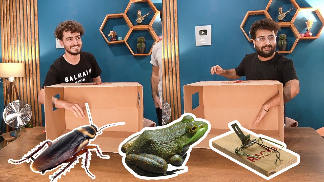 What's in the box challenge (ھەڤركيا چ دسندوقێ دايە)