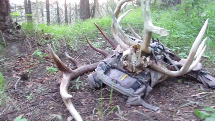 2017 Elk Browns Part 10 Brandon Pitcher