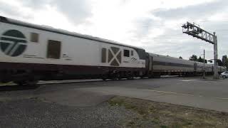 Amtrak 518 w/ WDTX SC-44 #1400 | Fairhaven Avenue, Burlington, WA | 9/6/2023
