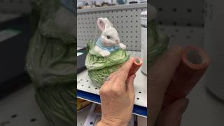 Some-bunny donated their whole collection! Goodwill shopping with prices! 🐇