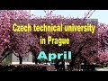 Czech Pepublic. Prague. Czech technical university in Prague. April 2019