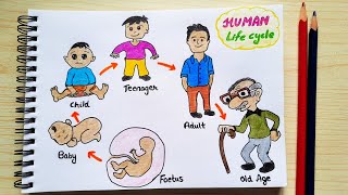 Human life cycle drawing step by step | Life cycle of a human drawing easy | artYo