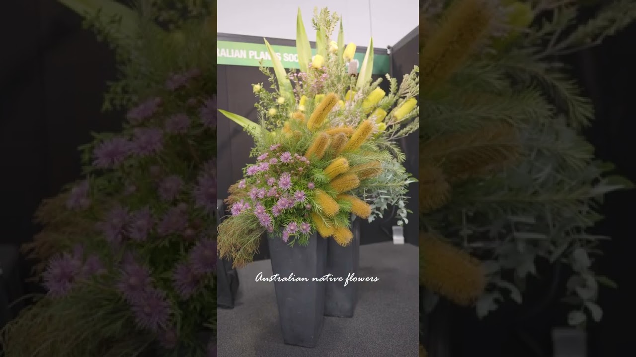 Gorgeous flower arrangement | Australian native flower arrangement at the Royal Adelaide Show 2022