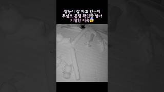 홈캠 공포 ㅋㅋㅋㅋ #babyshorts #둥이 #twins #아기 #홈캠 #육아일상 #온둥이네 #딸둥이