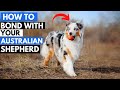 7 Effective Ways to Bond with Your Australian Shepherd