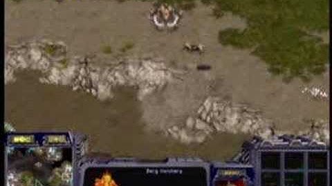 Adamas vs Junwi_[Sam] Pt3/3 On Python